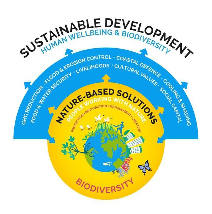 sustainable Development
