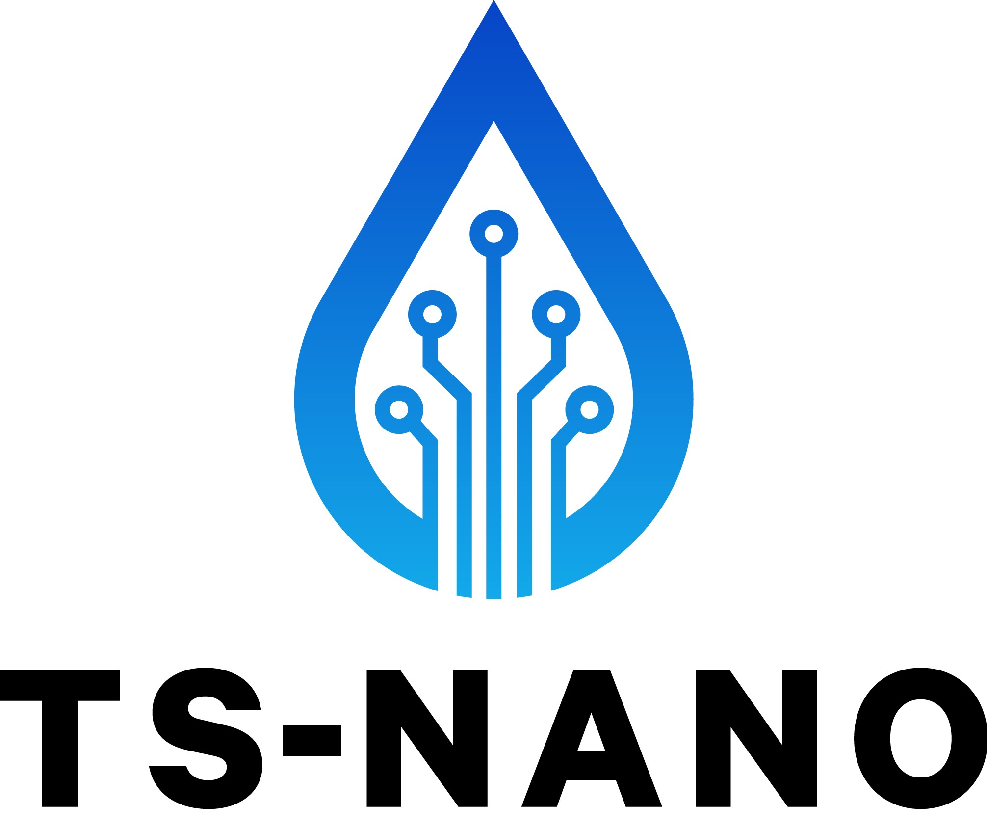 TS-Nano Logo