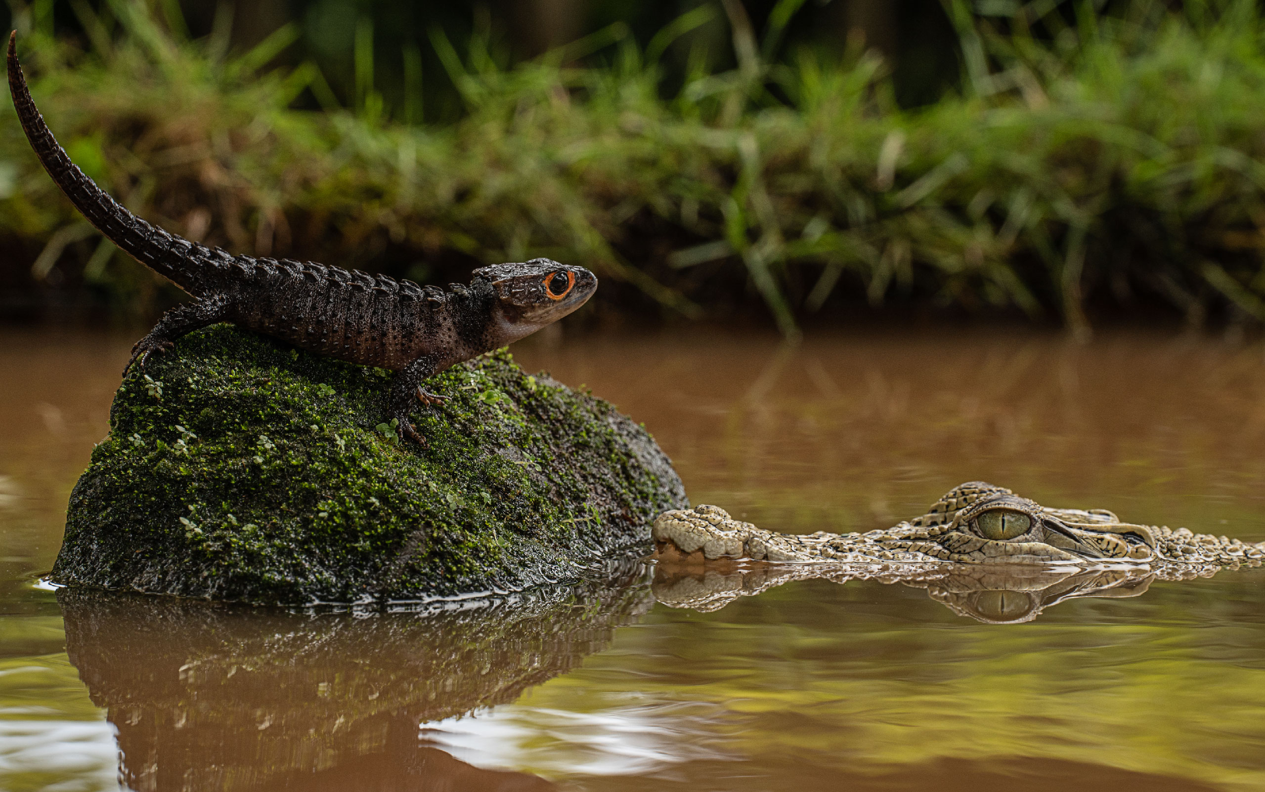 Reducing Emissions from Deforestation and Forest Degradation in the State of Acre, Brazil